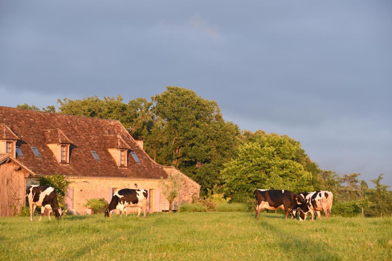 Chambre D'Hotes La Ferme De La Croix. サン・タヴィ・セニュール エクステリア 写真